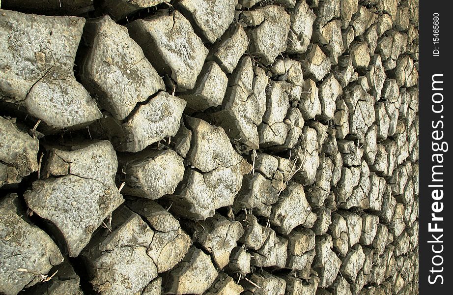 The crack ground at a rice field in Thailand.