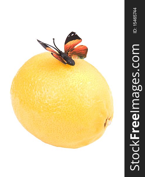Butterfly On A Lemon