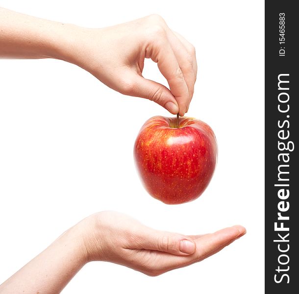 Juicy red apple in graceful woman's hand. Juicy red apple in graceful woman's hand