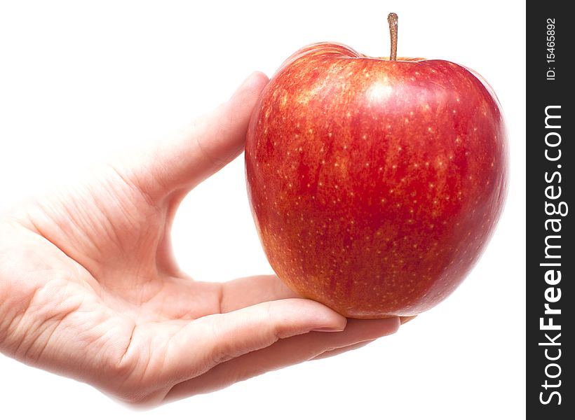 Red apple in hands