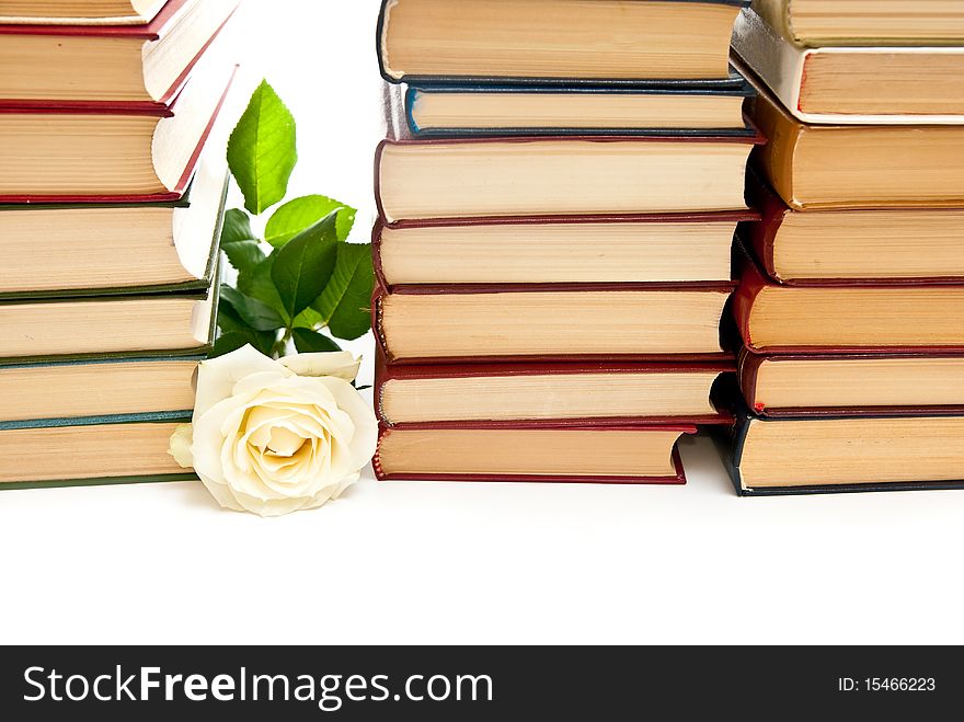 Rose and books. Isolated on white background