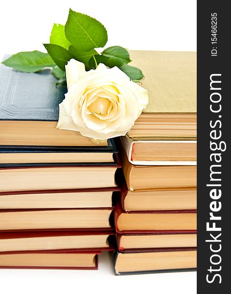 Rose and books. Isolated on white background