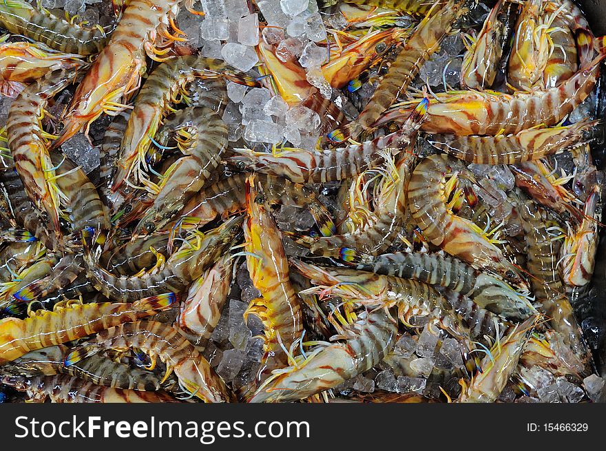 Prawns shrimps at japan fishmonger