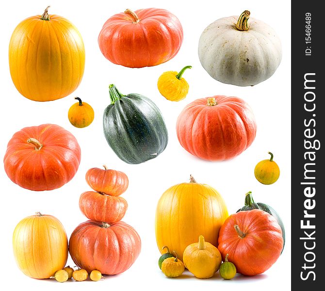 Collection of colorful pumpkins isolated on white background