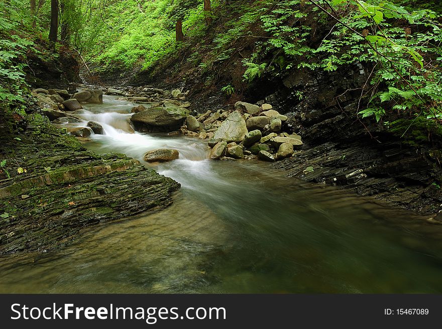 Peaceful view into forest with cascade.