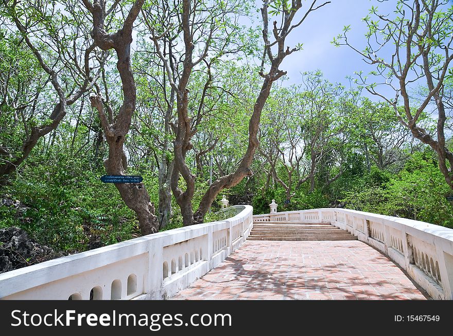 A path is in the forest, thailand. A path is in the forest, thailand.