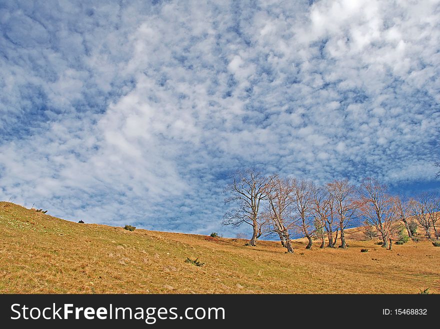 An autumn hillside with the huge dark blue sky in clouds. An autumn hillside with the huge dark blue sky in clouds.