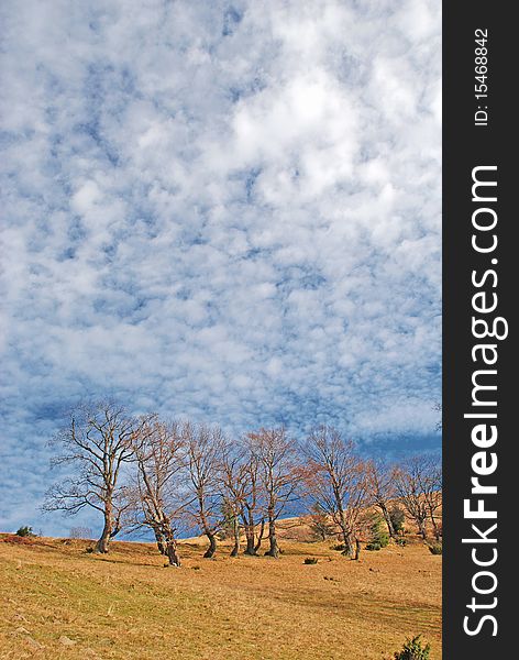 An autumn hillside with the huge dark blue sky in clouds. An autumn hillside with the huge dark blue sky in clouds.