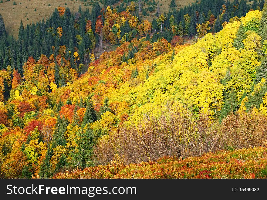 Autumn mountain in a motley landscape with trees of different shades. Autumn mountain in a motley landscape with trees of different shades.