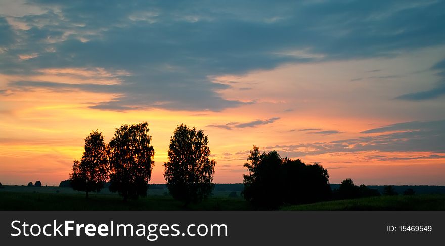 Trees against sunset