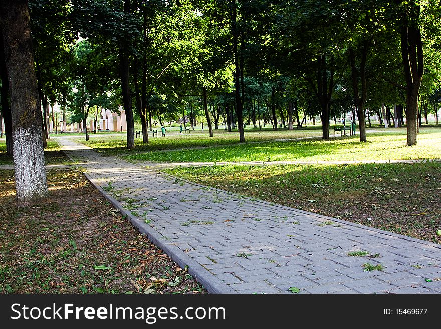Park in which people (trees along a path grow) have a rest. Park in which people (trees along a path grow) have a rest