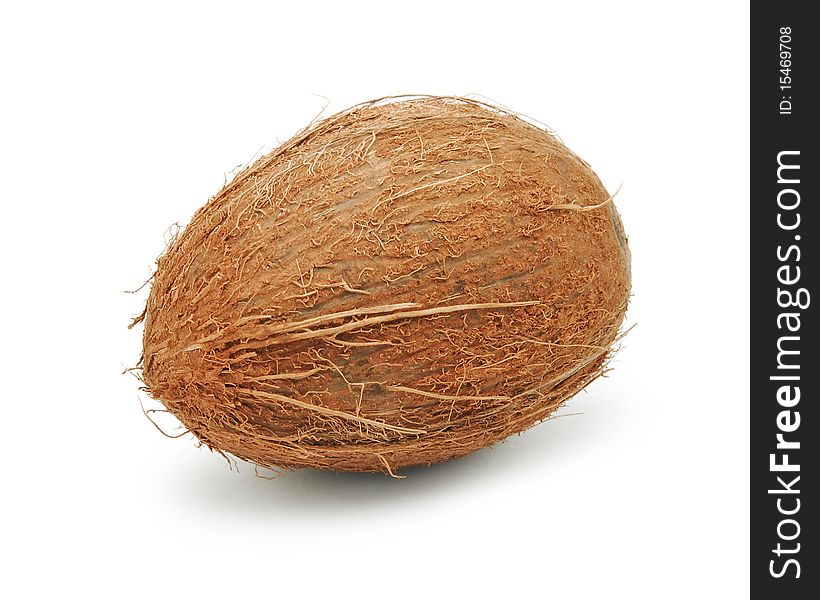 Coconut Isolated