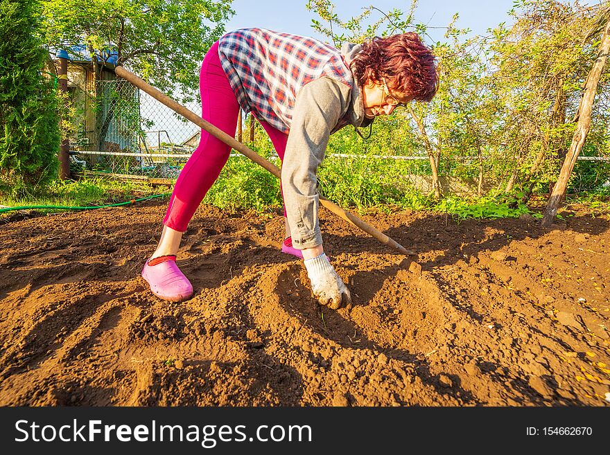 Beautiful mature woman preparing the hole in the ground for planting vegetables. Beautiful mature woman preparing the hole in the ground for planting vegetables