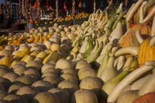 Different Pumpkins On Market Royalty Free Stock Photography Different Pumpkins On Market Royalty Free Stock Photography