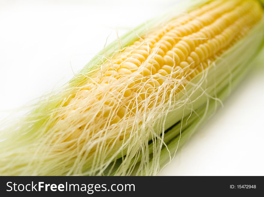The corn isolated on white. The corn isolated on white