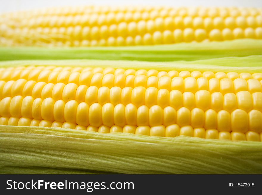 The corn on white