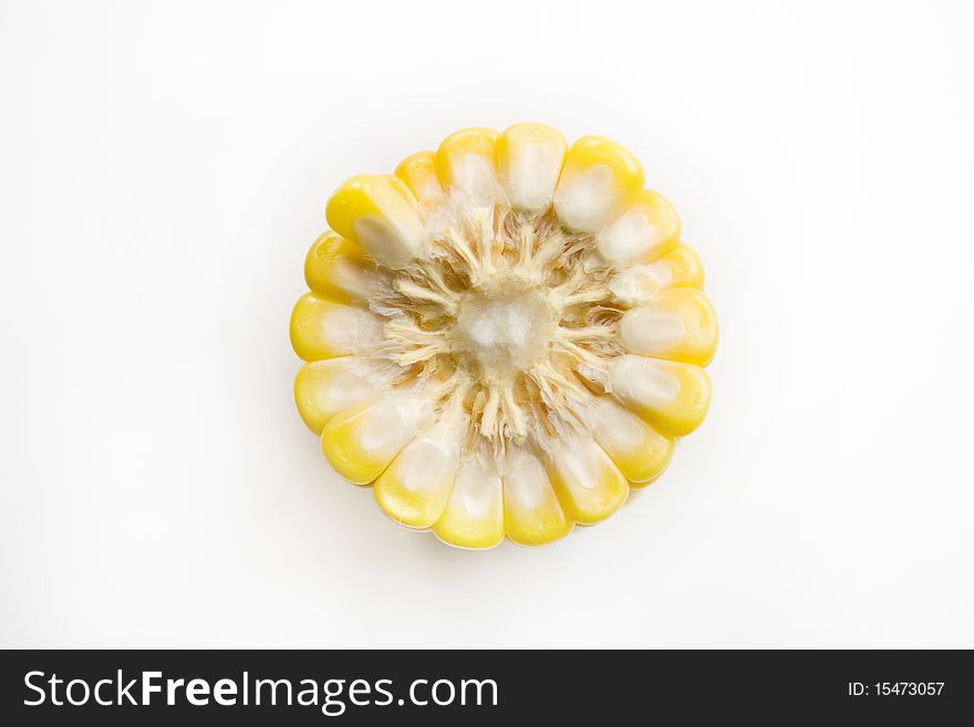 The  corn isolated on white. The  corn isolated on white