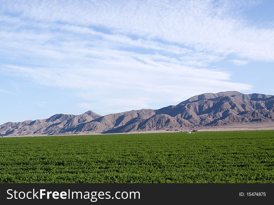 Farm land in southwestern USA. Farm land in southwestern USA