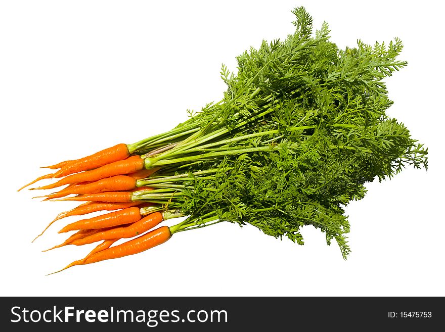 Fresh carrot fruits with green leaves isolated on white background. Fresh carrot fruits with green leaves isolated on white background.