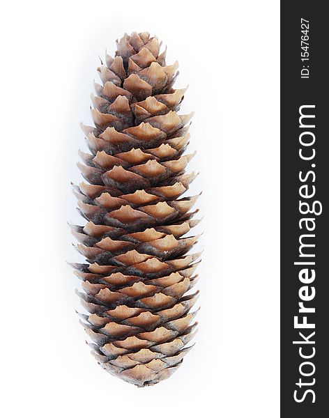 Christmas pine cone isolated on white background. Christmas pine cone isolated on white background