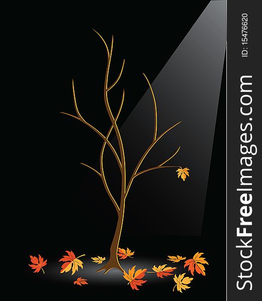 Autumn tree without leaves on a black background