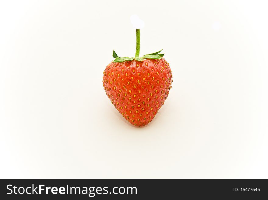 One strawberry in white backgound