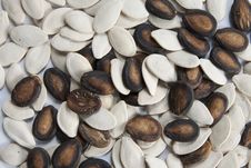 Watermelon Seeds. Stock Photography