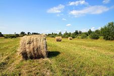 Hay In Stack Royalty Free Stock Images Hay In Stack Royalty Free Stock Images