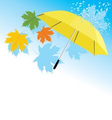 Yellow Umbrella And Maple Leaves Stock Photo Yellow Umbrella And Maple Leaves Stock Photo
