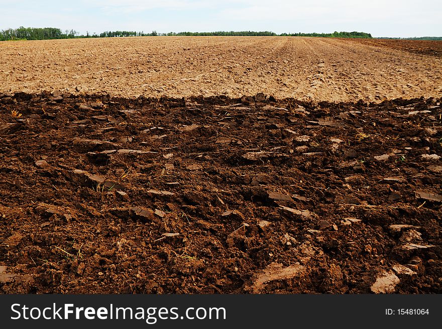 Plowed Field.