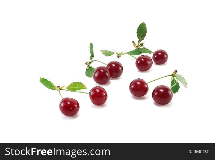Ripe cherries isolated on white background. Ripe cherries isolated on white background
