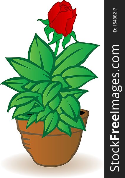 Vector illustration a flowerpot with a rose flower on a white background