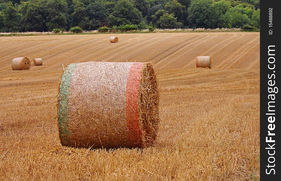 Circular Bales Of Hay In An English Meadow