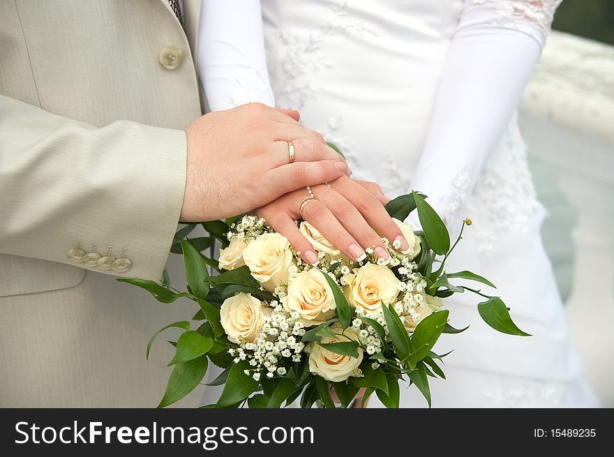 Bride and Groom's hands. Bride and Groom's hands