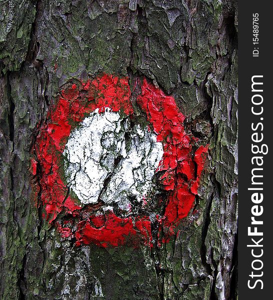 Trail marker, a detail seen on a tree while hiking