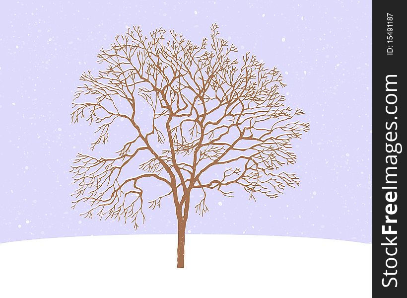 Winter tree with snow on a light blue background. Winter tree with snow on a light blue background