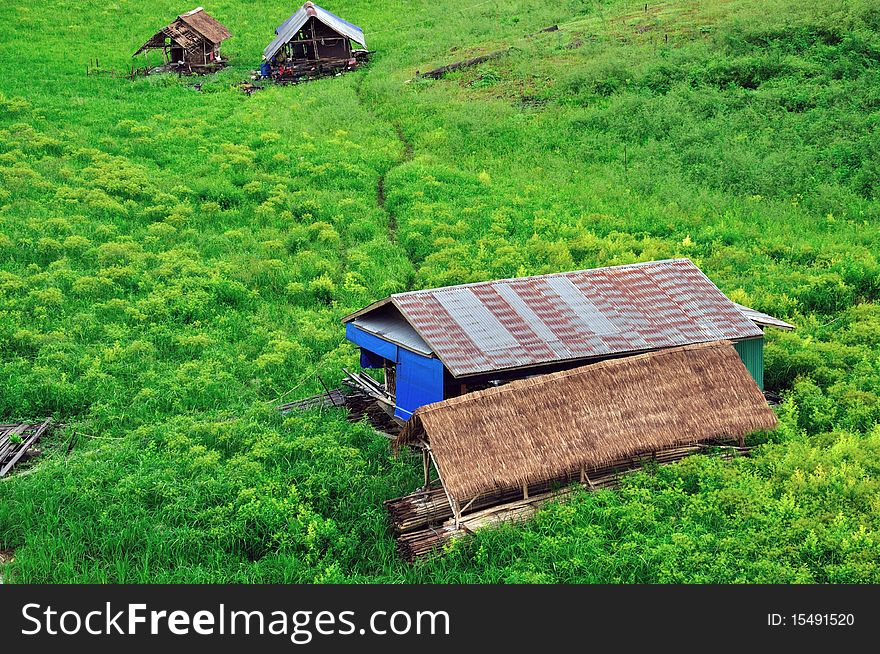 Houses or village in green field or meadows. Houses or village in green field or meadows