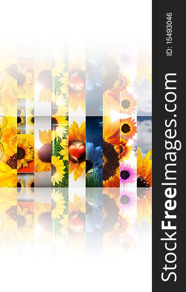 Composite of a series of abstract photos depicting sunfowers with reflection effect against white background. Composite of a series of abstract photos depicting sunfowers with reflection effect against white background