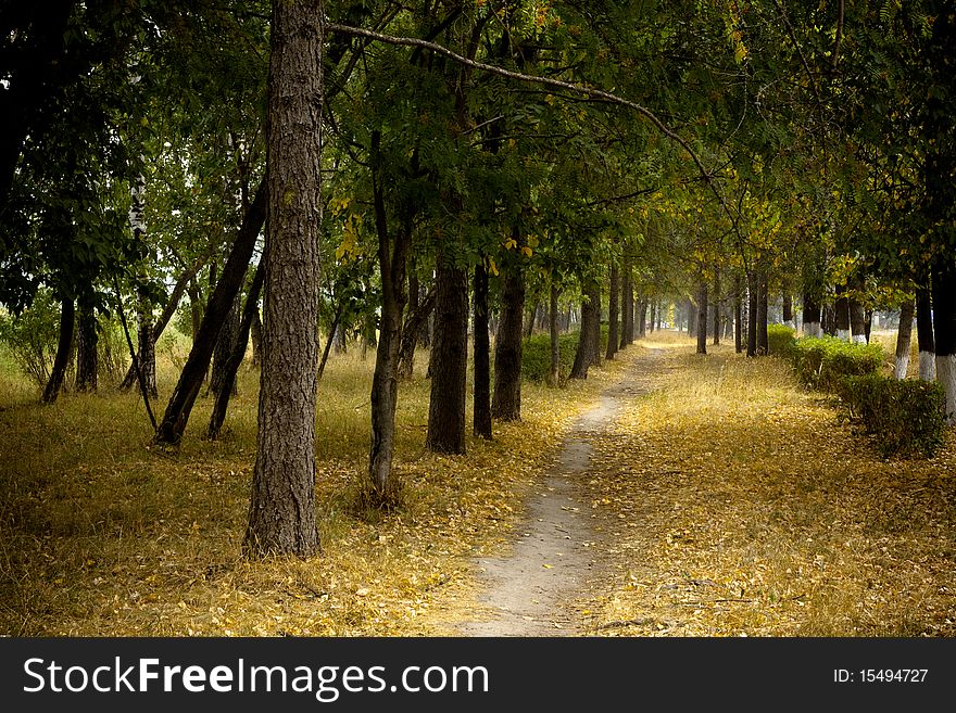 Empty pathway in autumn park