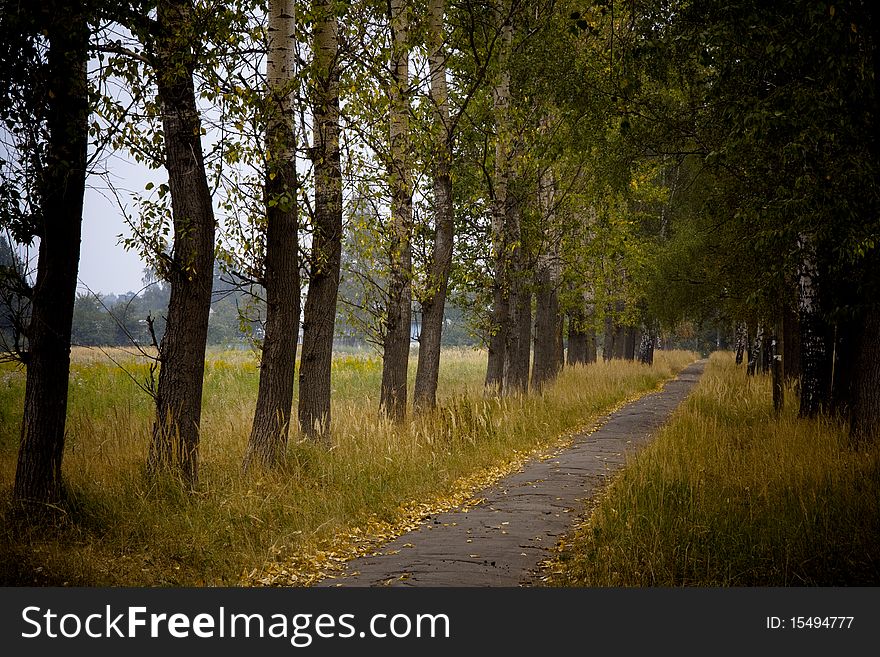 Empty pathway in autumn park