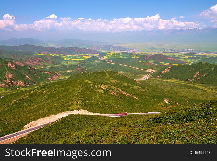 China Qinghai Flower Landscape