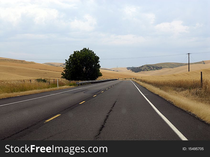 HIGHWAY IN OREGON STATE / OREGON STATE / USA . American highway scenic 29 July 2010 (PHOTO BY FRANCIS JOSEPH DEAN / DEAN PICTURES). HIGHWAY IN OREGON STATE / OREGON STATE / USA . American highway scenic 29 July 2010 (PHOTO BY FRANCIS JOSEPH DEAN / DEAN PICTURES)