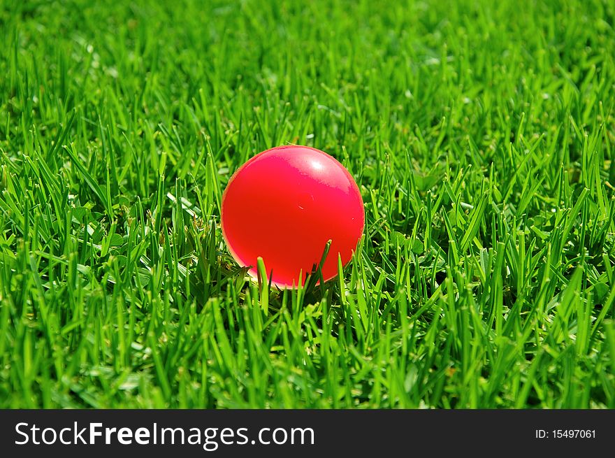 View of a cut grass and red ball. View of a cut grass and red ball
