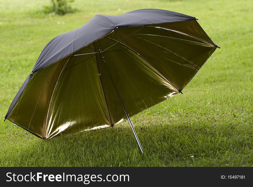 Studio photography black and gold reflecting umbrella on grass.