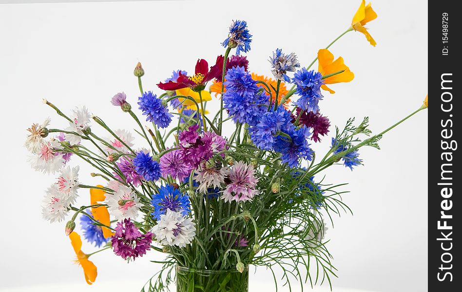 Bouquet of dark blue cornflowers