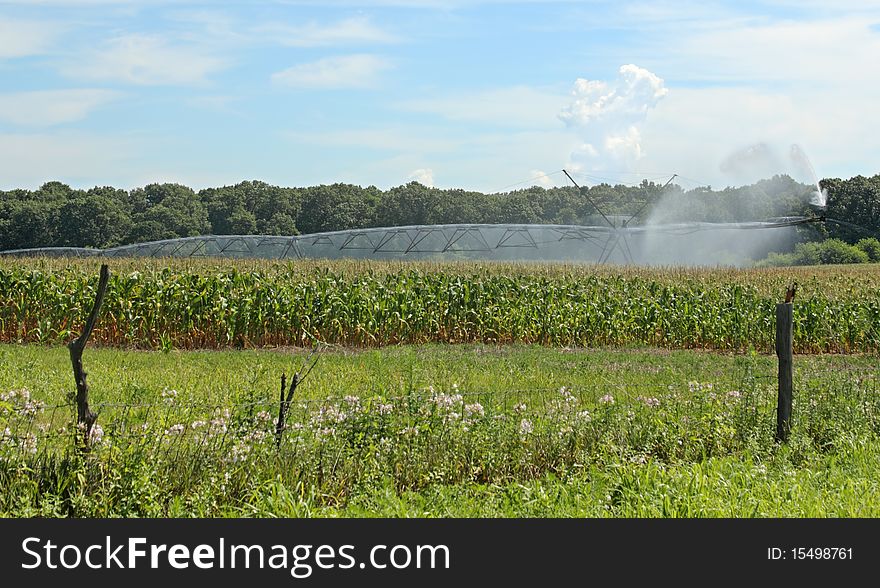 Irrigating a corn field against a blue sky with clouds