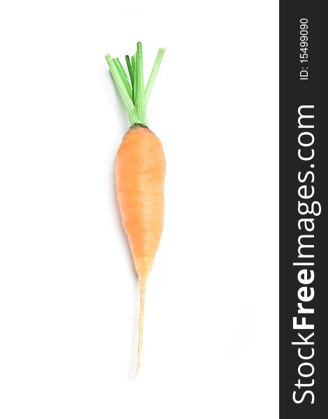 Fresh carrot