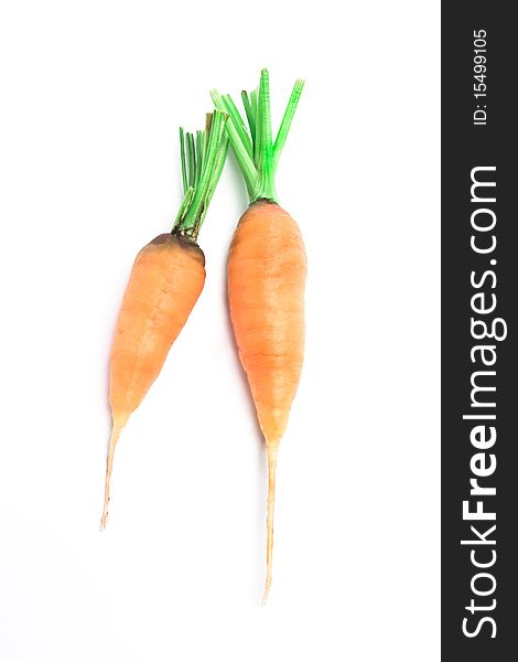 Fresh carrots charged on a white background