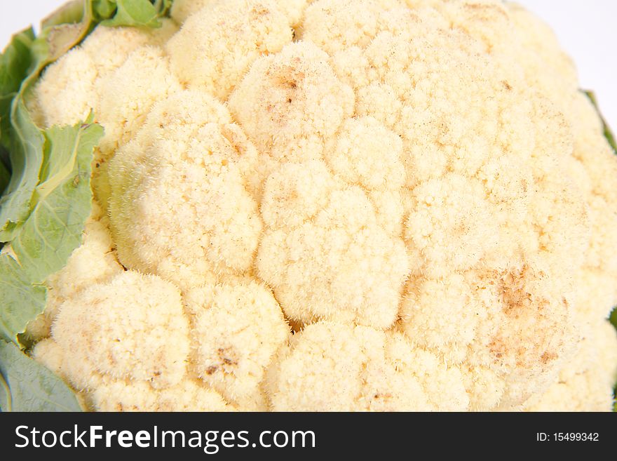 Cauliflower in close up on white background