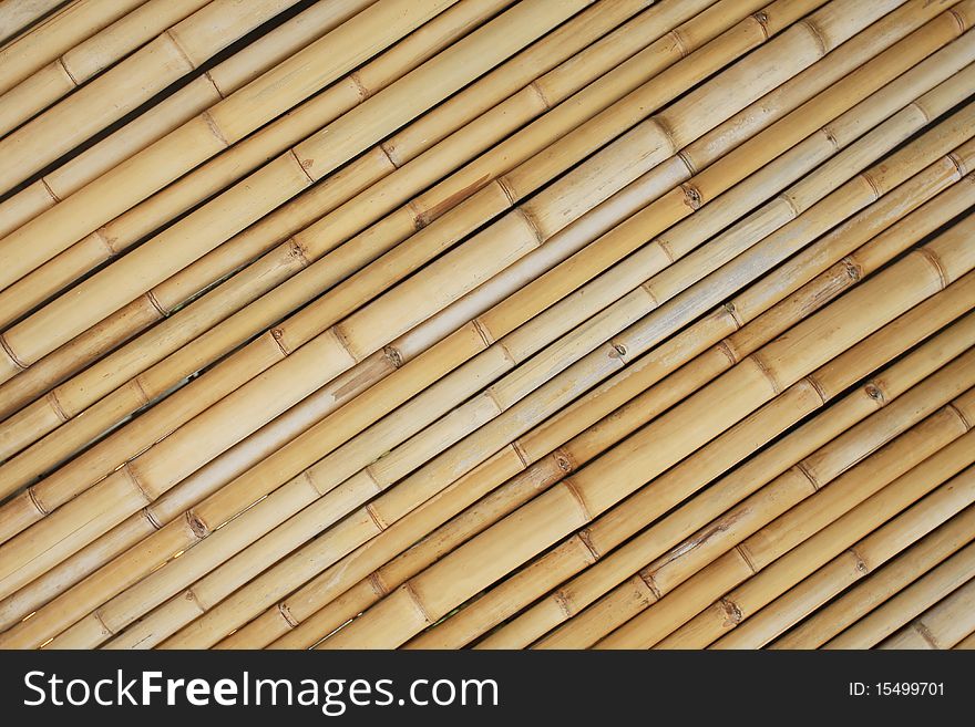 Wall bamboo